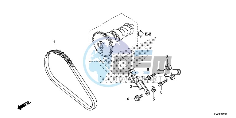 CAM CHAIN/TENSIONER