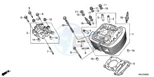 VT750C2BB Shadow E drawing FRONT CYLINDER HEAD