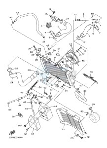 XJ6N 600 XJ6-N (NAKED) CYPRUS drawing RADIATOR & HOSE