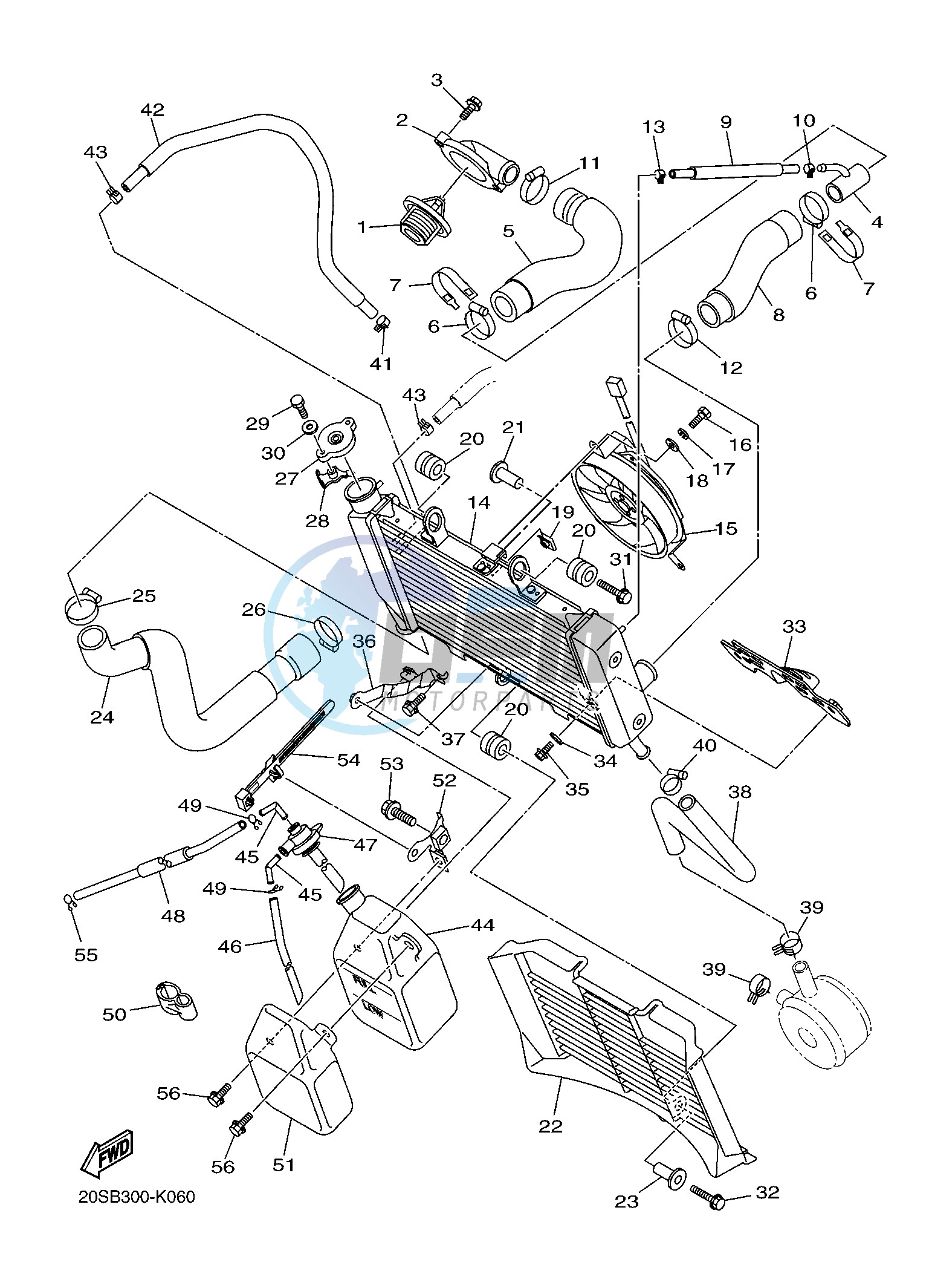 RADIATOR & HOSE