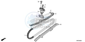 NSS125DF Forza 125 - NSS125D Europe Direct - (ED) drawing CAM CHAIN/ TENSIONER