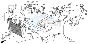 CBR125RW9 Australia - (U) drawing RADIATOR (CBR125RW7/RW9/RWA)