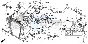 CBR1000SAG CBR1000 ED drawing RADIATOR