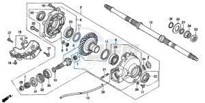 TRX300FW FOURTRAX 300 4X4 drawing FINAL DRIVEN GEAR