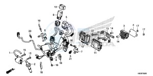 CRF250R Europe Direct - (ED) drawing WIRE HARNESS