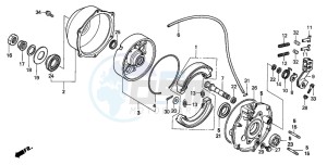 TRX300 FOURTRAX drawing REAR BRAKE PANEL