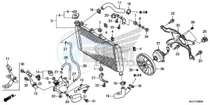 NC750DE Integra - NC750D Europe Direct - (ED) drawing RADIATOR