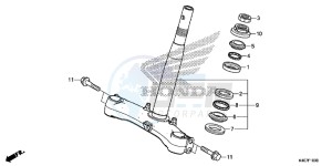 NSS125DF Forza 125 - NSS125D Europe Direct - (ED) drawing STEERING STEM