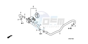 CB600FAA Europe Direct - (ED / ABS) drawing AIR INJECTION CONTROL VALVE