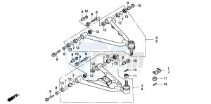 TRX300EX FOURTRAX 300 EX drawing FRONT ARM