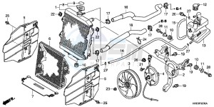 TRX500FPMC drawing RADIATOR