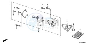 CRF50FB CRF50F ED drawing OIL PUMP