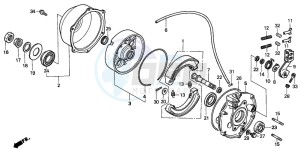 TRX300 FOURTRAX 300 drawing REAR BRAKE PANEL