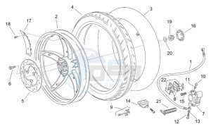 Scarabeo 50 2t (eng. Minarelli) drawing Rear wheel - disc brake