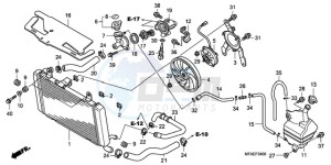 CBF1000AA Europe Direct - (ED / ABS) drawing RADIATOR