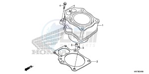 TRX420FA6H Europe Direct - (ED) drawing CYLINDER