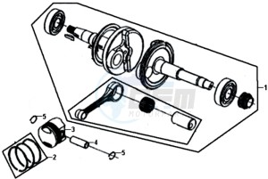 FIDDLE III 50 L6 drawing CRANKSHAFT