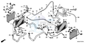 GL1800F GoldWing - GL1800-F 2ED - (2ED) drawing RADIATOR (GL1800C/ D/ E/ F/ G)