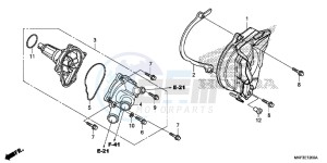 CBR1000S2H 2ED - (2ED) drawing WATER PUMP