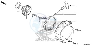 TRX420FM2E TRX420 Europe Direct - (ED) drawing RECOIL STARTER