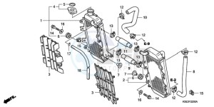 CRF150R9 Europe Direct - (ED / 2ED) drawing RADIATOR