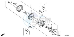 CRF80F9 Mexico - (MX) drawing OIL PUMP