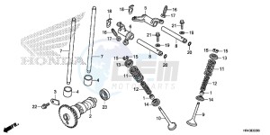 TRX500FM1E TRX500FM1 Europe Direct - (ED) drawing CAMSHAFT/ VALVE