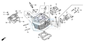 CRF100F drawing CYLINDER HEAD