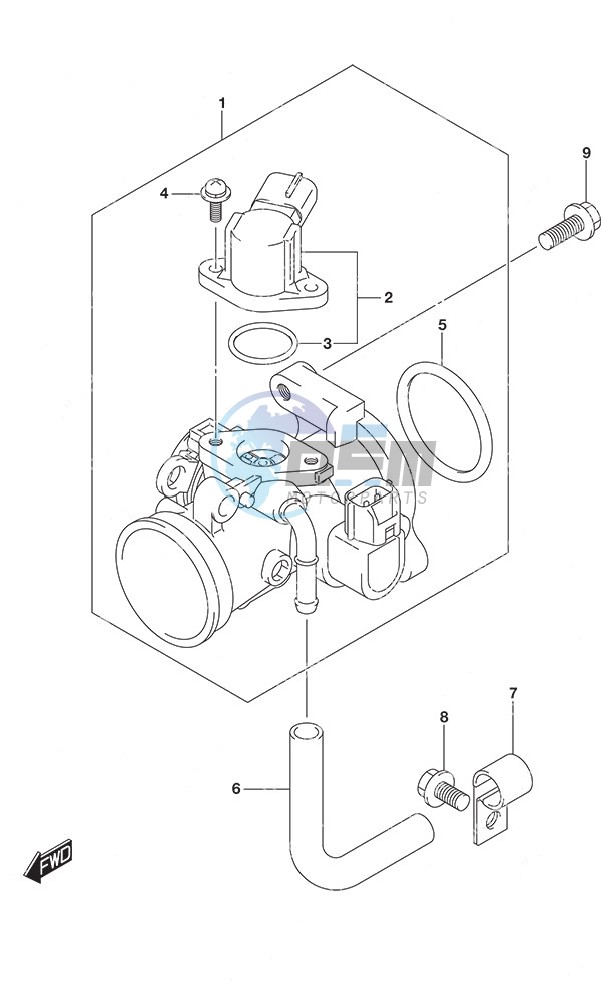 Throttle Body Non-Remote Control