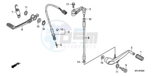 CBR1000RAA Australia - (U / ABS) drawing PEDAL