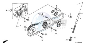 CRF70FB CRF70F ED drawing CAM CHAIN/ TENSIONER