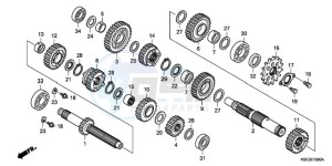 CRF150RB9 Australia - (U) drawing TRANSMISSION