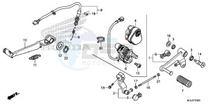 NC750SE NC750S Continue » Europe Direct - (ED) drawing PEDAL