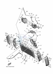 XSR900 MTM890 (BEA1) drawing RADIATOR & HOSE