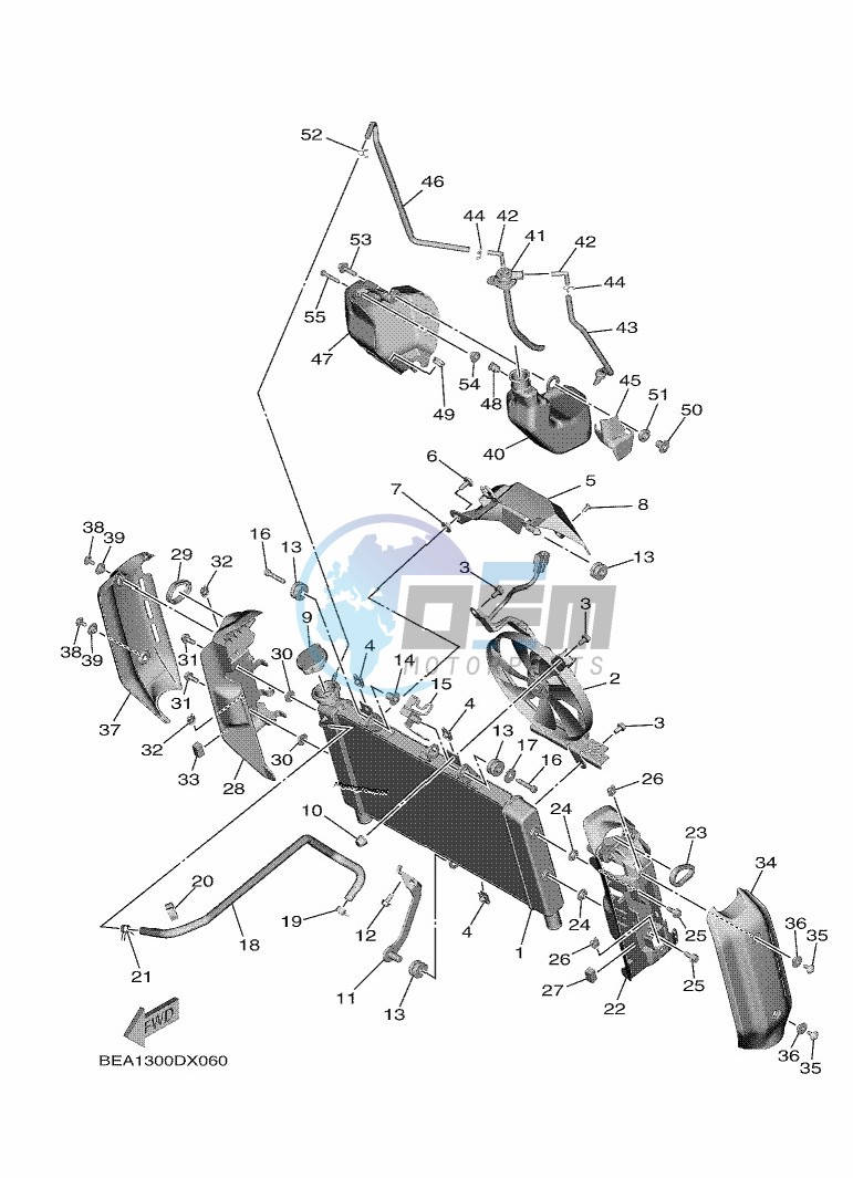 RADIATOR & HOSE