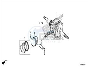 WW125EX2H WW125 E drawing CRANKSHAFT/PISTON