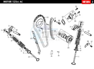 MARATHON-125-E4-AC-SM-RED drawing VALVES - DISTRIBUTION CHAIN  EURO4