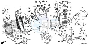 VT750SE Shadow E drawing RADIATOR (VT750S)