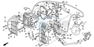 XL600V TRANSALP drawing RADIATOR