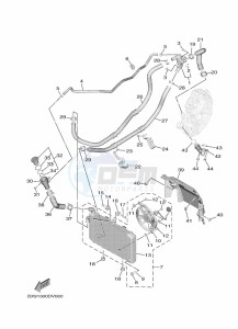 MWD300 TRICITY 300 (BED9) drawing RADIATOR & HOSE