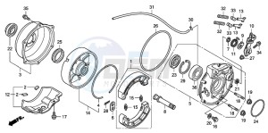 TRX420FM FOURTRAX drawing REAR BRAKE PANEL