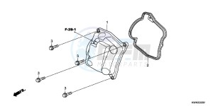 WW125EX2C drawing CYLINDER HEAD COVER (WW125EX2C/EX2D/EX2E/D)