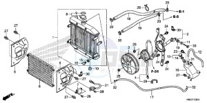 TRX500FPAE TRX500FPA Europe Direct - (ED) drawing RADIATOR