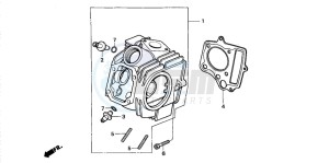 TRX90 SPORTRAX 90 drawing CYLINDER HEAD