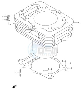 DR350 (E1) drawing CYLINDER