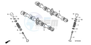 CB1300SA9 France - (F / ABS BCT CMF MME TWO) drawing CAMSHAFT/VALVE