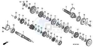 CBR600RAA F / CMF drawing TRANSMISSION