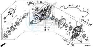 TRX500FM5H Europe Direct - (ED) drawing REAR FINAL GEAR