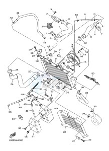 XJ6N 600 XJ6-N (NAKED) (B617 B618) drawing RADIATOR & HOSE