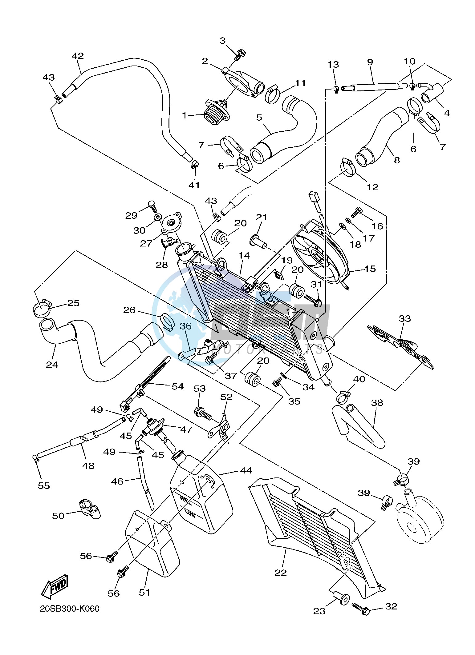 RADIATOR & HOSE